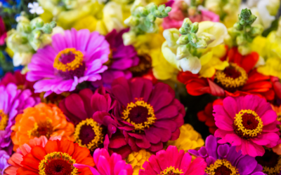 Colorful Brains in Bloom event helps people with dementia and their caregivers