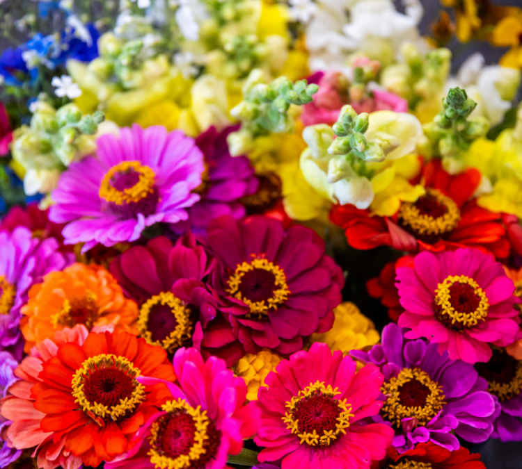 Colorful Brains in Bloom event helps people with dementia and their caregivers